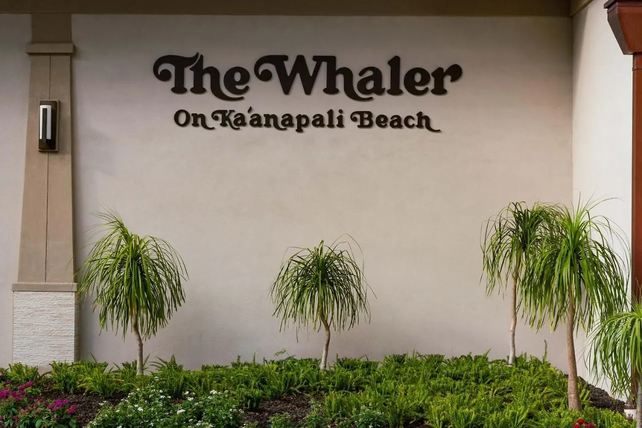 Appartement Whaler 518 Oceanview Studio Condo Condo Lahaina