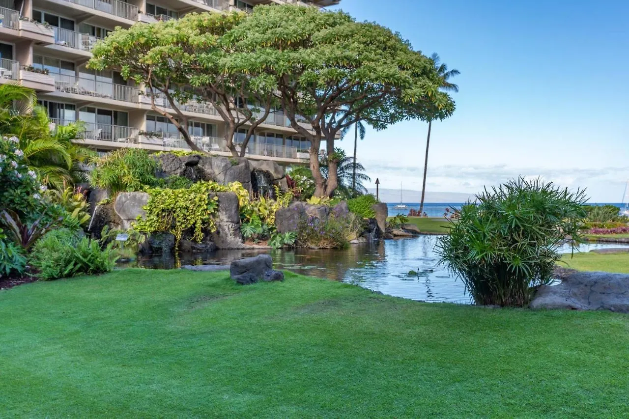 Whaler 518 Oceanview Studio Condo Condo Lahaina États-Unis
